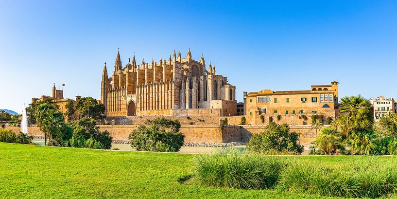 Cathedral La Seu in Palma de Majorca, Spain by Alex Winter