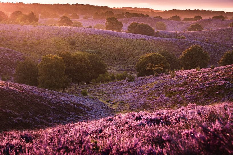 Sunrise Posbank par Frank Verburg