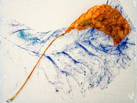 Sonnenverbranntes Baumblatt 5, Sommer 2023