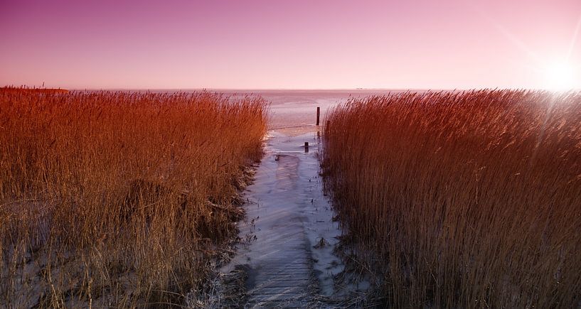 Winterlandschaft von Bo Valentino