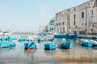 Port Monopoli Puglia Italy