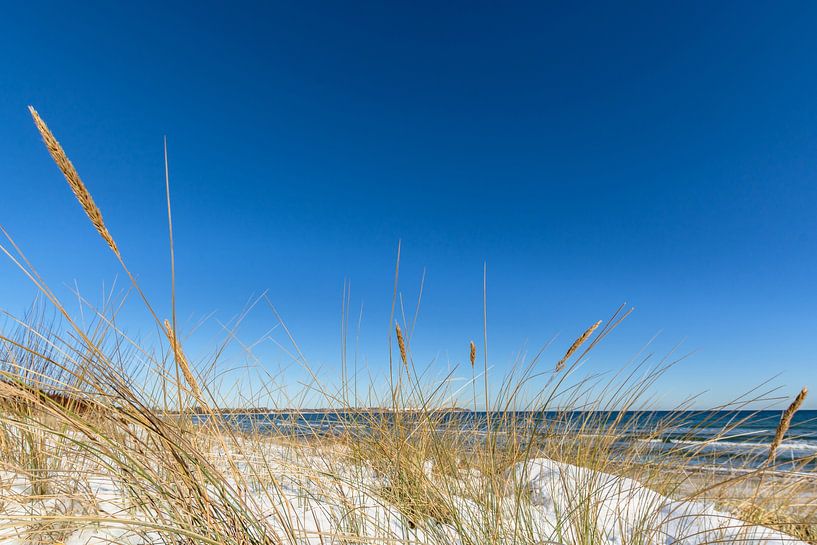 Dunes in the snow, beach in Juliusruh on the island of Rügen by GH Foto & Artdesign