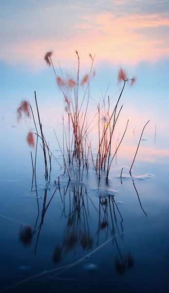 Erholung am See von fernlichtsicht