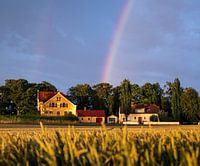 La ferme sous le double arc-en-ciel