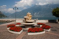 Fontaine avec des fleurs à Limone