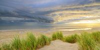 Sonnenaufgang in den Dünen der Insel Texel mit einer nahenden Gewitterwolke