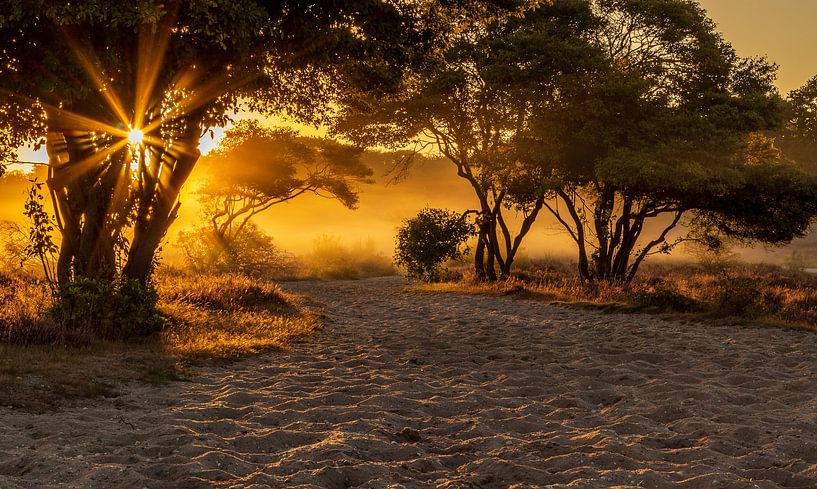 South Heath par Rob Saly