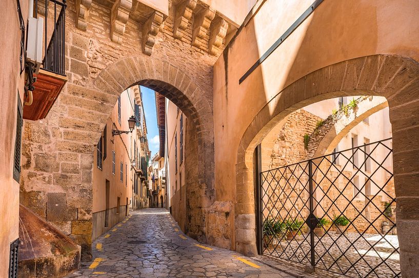 Idyllische Gasse im alten historischen Stadtkern von Palma de Mallorca von Alex Winter