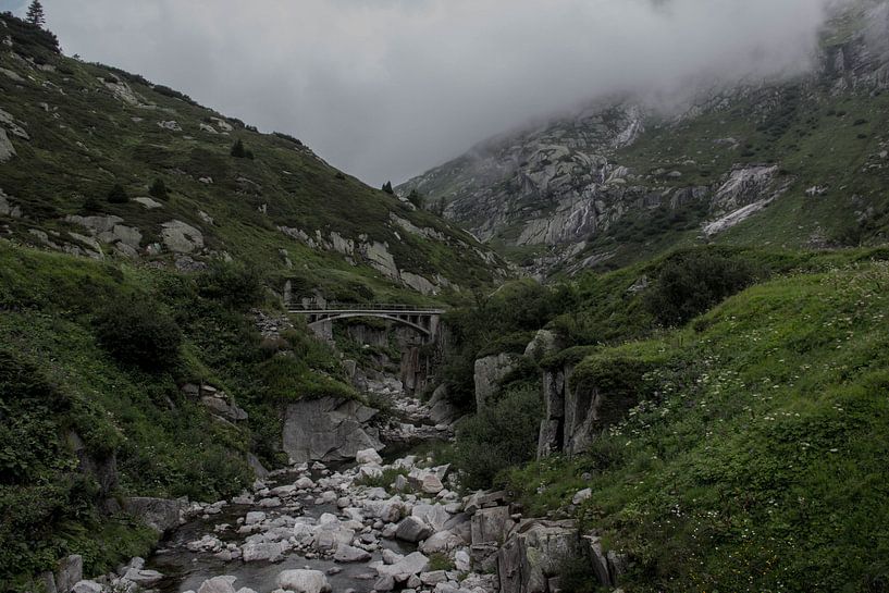 Bridge over a stream by Sasja van der Grinten
