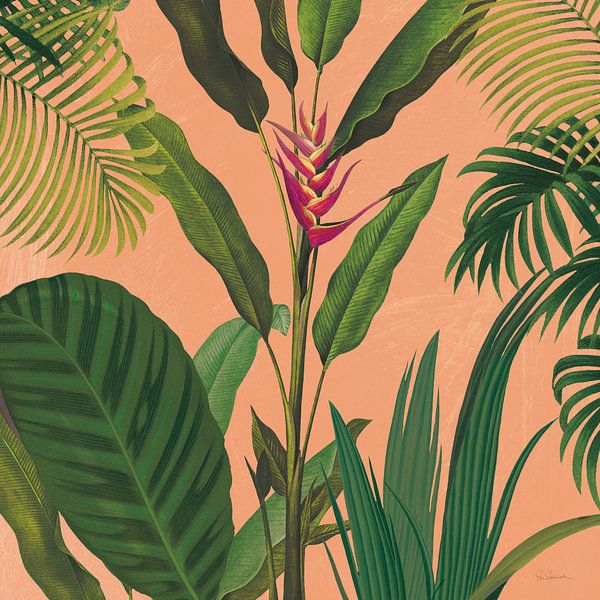 Dramatic Tropical II Boho, Sue Schlabach von Wild Apple