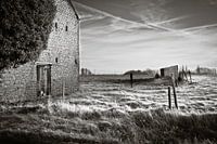 après une nuit froide