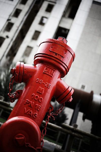 Roter Hydrant von Eric Sweijen