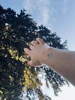 Saisir la vie à pleines mains !