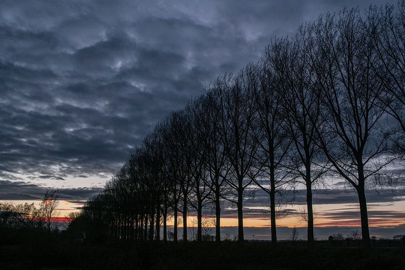 Krabbedijk von Mario de Lijser