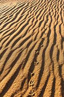 Spuren im Sand