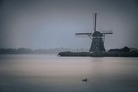 Silent waters (Bleiswijk)