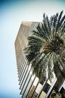 Palm Highrise