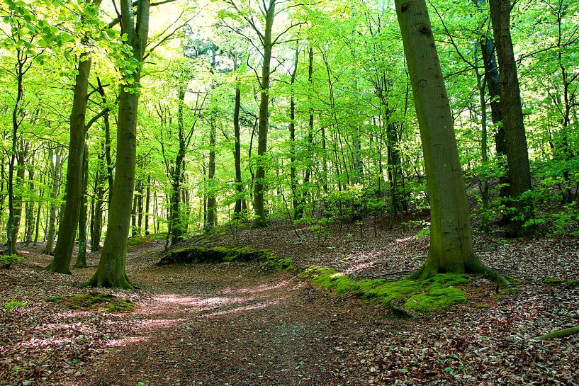 Printemps par Ostsee Bilder