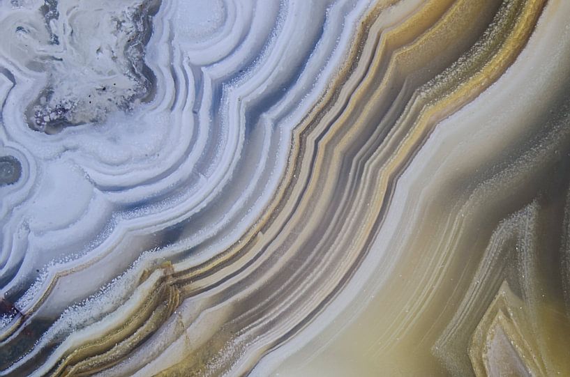 Lijnenwerk van de natuur. von Karin Tebes