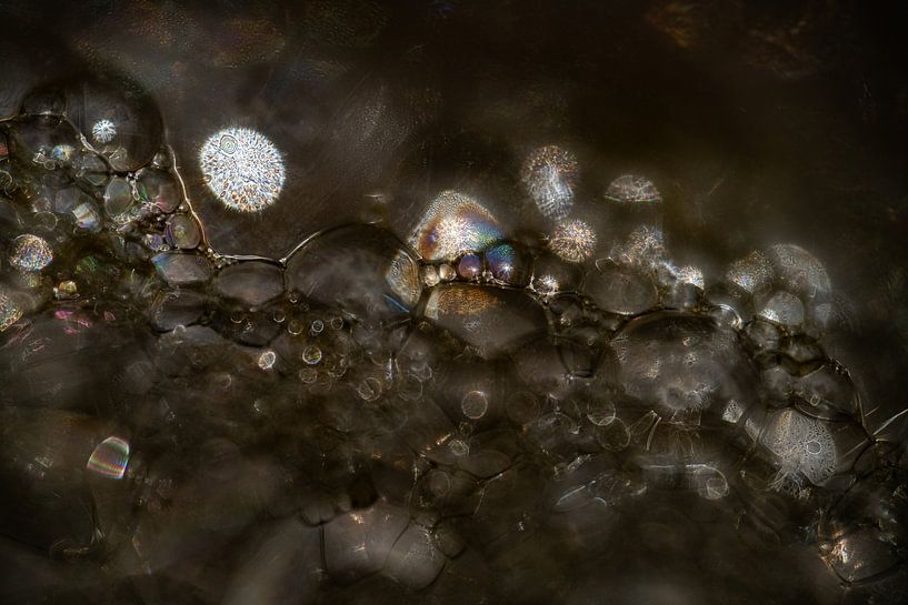 Cosmos d'écume de mer par Nanda Bussers