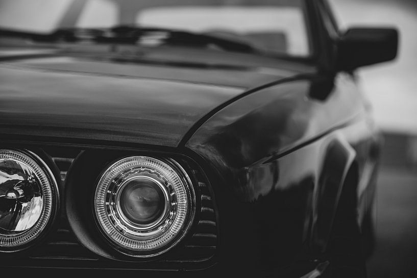 Black Beauty by Eddie Anthonisse