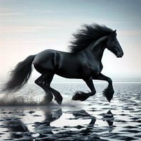 Das Friesenpferd an der Wattenküste 6