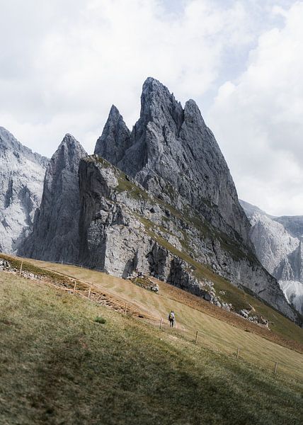 Berg Seceda von fromkevin