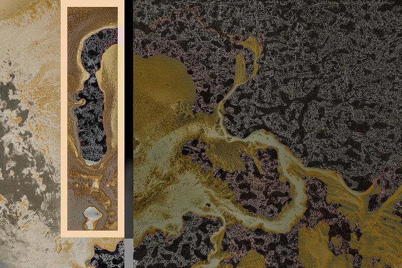 Formulaire ci-joint par Cees van Gastel