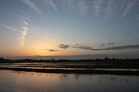 Morgensonne im Polder