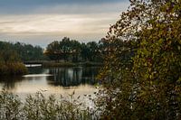 Serene Stilte: Een Toevluchtsoord in het Natuurpark Lelystad.
