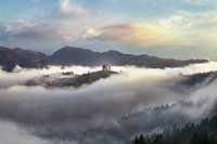 Brouillard mystérieux