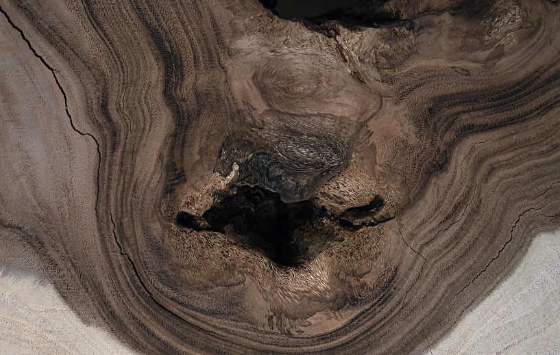 Versteinertes Holz von Franke de Jong