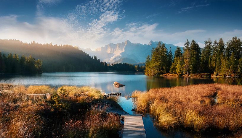 Lake with jetty and plants by Mustafa Kurnaz