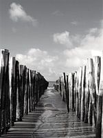 Postes dans le sable