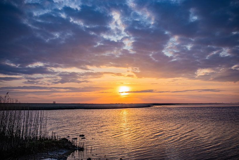 Les vasières par Johan Mooibroek