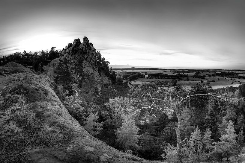 Harz landscape on the Hamburg coat of arms in black and white by Manfred Voss, Black-White Photography