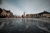 Nieuwkoopse Plassen in winter with ice