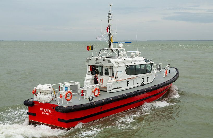 Pilot boat Wulpen by MSP Canvas