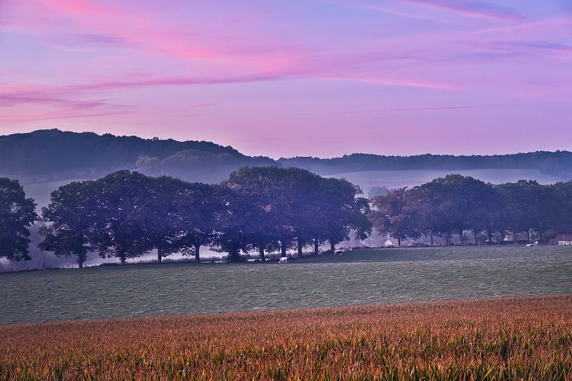 Les collines du sud du Limbourg par Sander Poppe