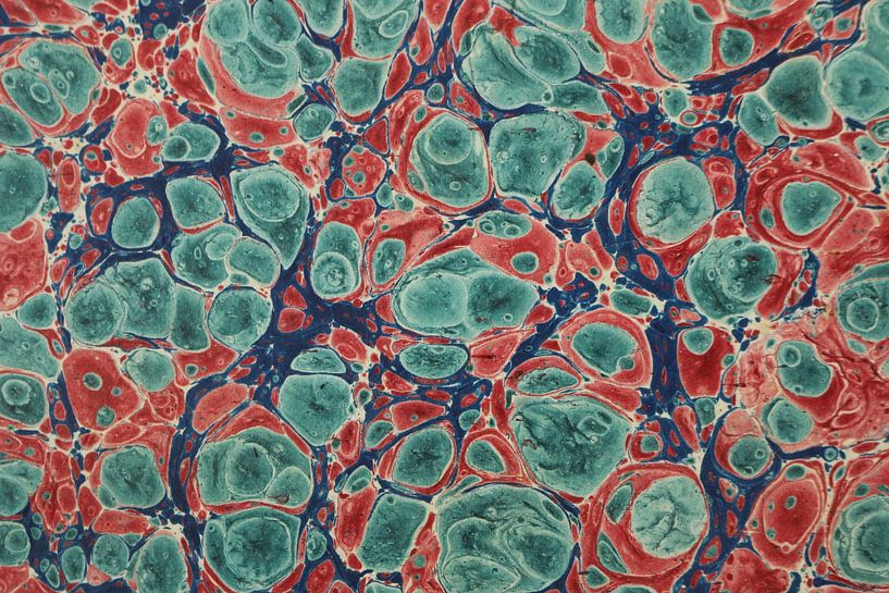 Digital art pattern colored marbled cells by Michael Godlewski