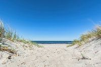 Dunes on the beach in Glowe on Rügen, Schaabe