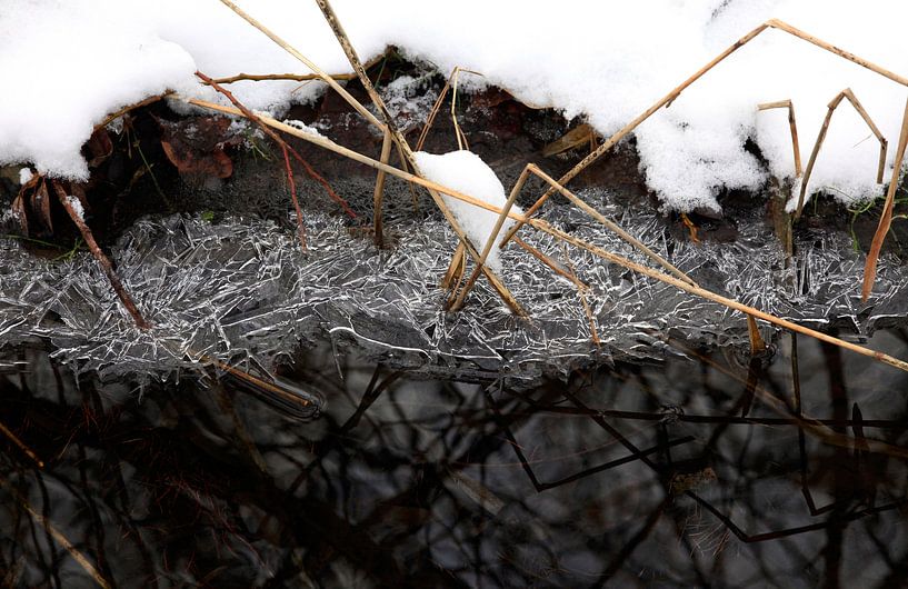 By the stream in winter by Thomas Jäger
