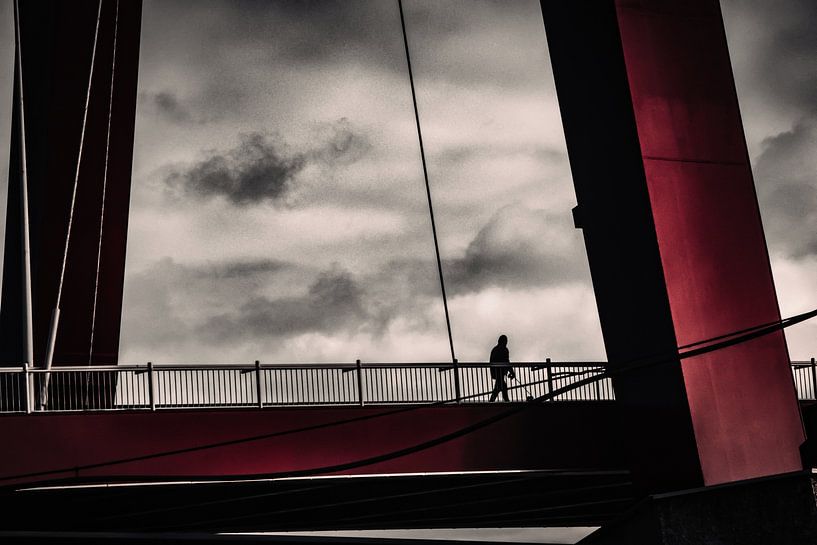 Man with dog on the Willemsbrug in Rotterdam by Rachelle Sarkis
