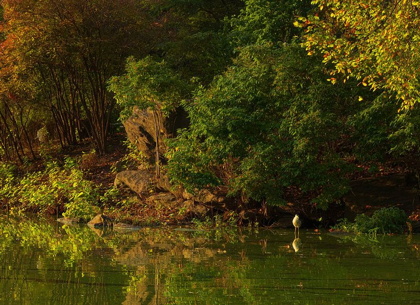 Central Park New York City - USA by Marcel Kerdijk