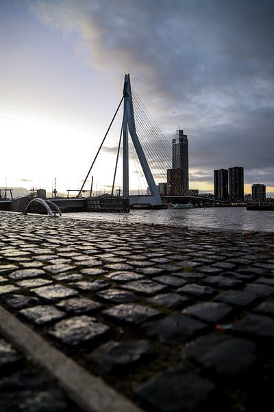Le pont Erasmus par SVPhotographie