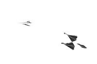 High-key of flying Jan van Gent