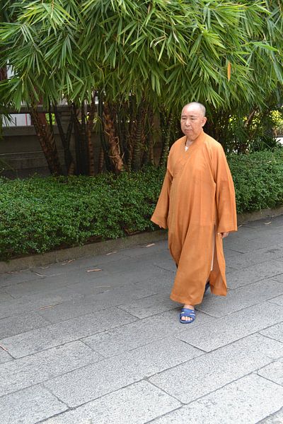 Mönch von Simone van der Heide