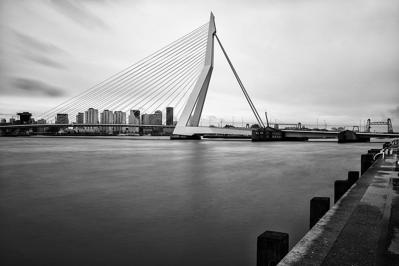 Pont Erasmus | Photo en noir et blanc par Mark De Rooij