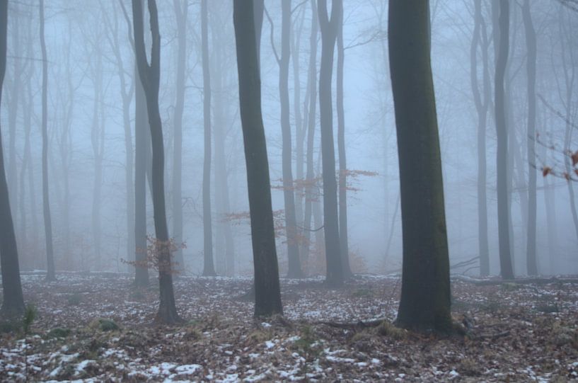 Bomen in de nevel von Marian Steenbergen