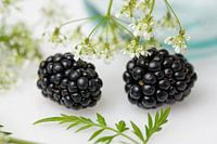 Brombeeren mit Kuhpetersilie
